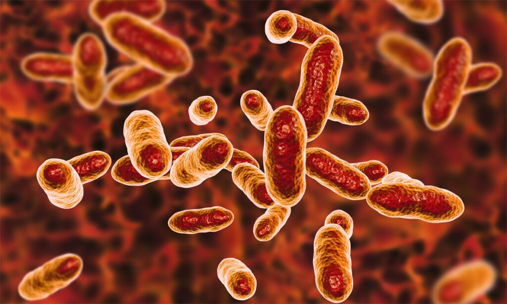 Rest Bacteria How Oral Bacteria Can Affect the Rest of Your Body
